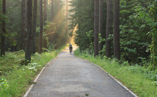 27_NKRP Zverinciaus takas01 (1).jpg